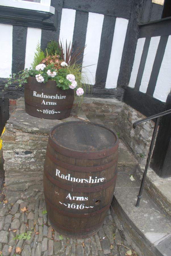 The Radnorshire Arms Hotel Presteigne エクステリア 写真